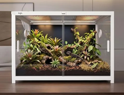What a Leopard Gecko Setup Actually Costs (2026)
