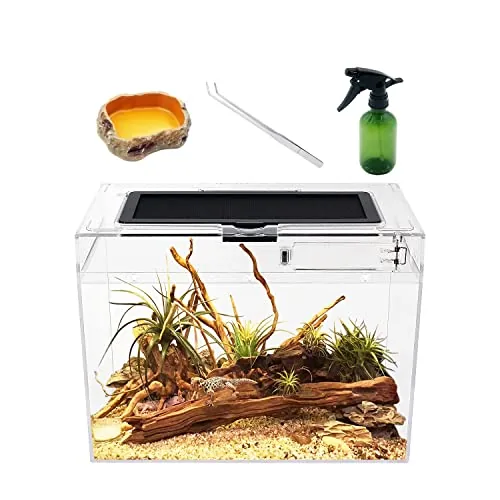 Reptile Growth Mini Terrarium 12x7x9in PC Enclosure
