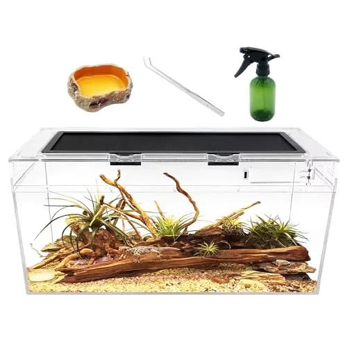Reptile Growth PC Terrarium 20x10x8 with Feeding Port