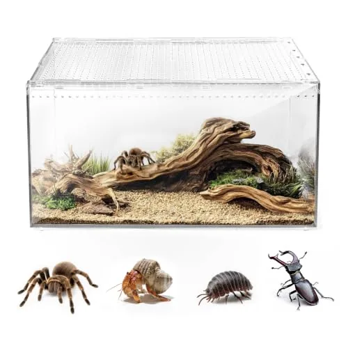 AZV 2.37 Gallon Clear PC Terrarium, Magnetic Lid