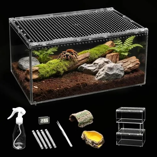 9 Best Tarantula Enclosures (2026 Review Guide)