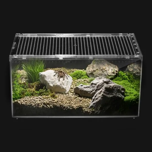 Clioran PC Tank Small Magnetic Lid Tarantula Enclosure