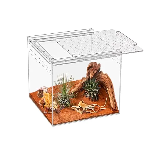 KAKOOTI Acrylic Terrarium 6.8x6.8x6in Magnetic Enclosure